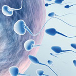 El impacto psicológico de la infertilidad y cómo sobrellevarlo